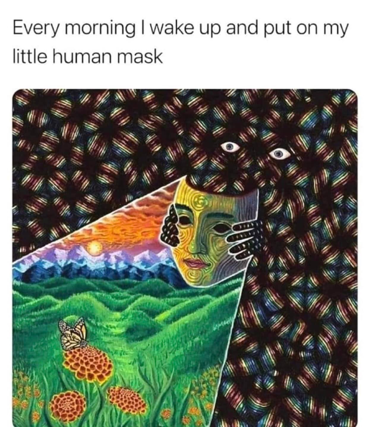 This meme is an image of a person's morning routine, but with a humorous twist. The text "Every morning I wake up and put on my human mask" appears at the top of the image, implying that the person is a monster or creature that needs to wear a mask to blend in with humans.